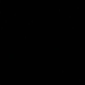 Meet your Posher, Hailey